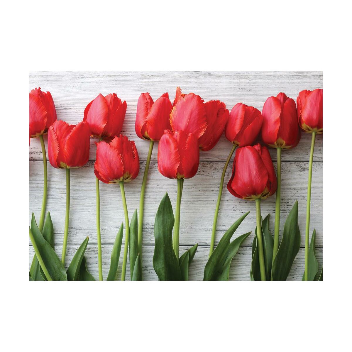 Deska do krojenia Tulips RED Alfa-Cer