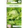 Sałata głowiasta krucha SAMBA W. LEGUTKO