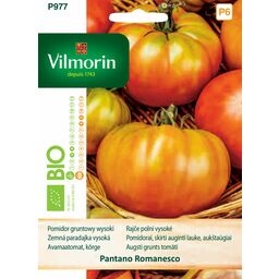 Pomidor gruntowy wysoki Pantano Romanesco nasiona Vilmorin