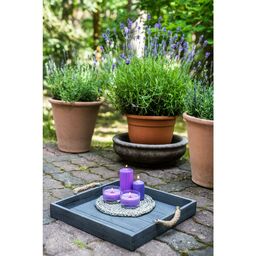 Świeca pieńkowa zapachowa True Scents lawenda Bolsius