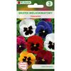 Bratek wielkokwiatowy MIESZANKA nasiona tradycyjne 0.5 g W. LEGUTKO