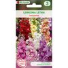 Nasiona kwiatów MIESZANKA Lewkonia letnia W. LEGUTKO