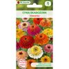 Cynia wytworna skabiozowa MIESZANKA W. LEGUTKO