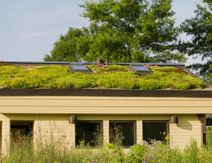 Jakie rośliny wybrać na zielony dach?