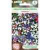 Nasiona kwiatów MIESZANKA Lobelia przylądkowa (Stroiczka) W. LEGUTKO
