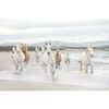 Fototapeta WHITE HORSES 368 x 254 cm KOMAR