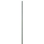 Tyczka prosta 180 cm x 11 mm metalowa zielona PVC
