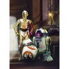 Fototapeta STAR WARS THREE DROIDS 184 x 254 cm