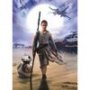 Fototapeta STAR WARS REY 184 x 254 cm