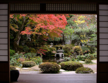 Jak założyć ogród w stylu japońskim?