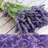 Serwetka LAVENDER IN THE COUNTRY 33 x 33 cm 20 szt. PAW DECOR COLLECTION