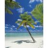 Fotografia ścienna ARI ATOLL 254.0 x 184 cm KOMAR