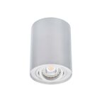 Sufitowa oprawa natynkowa BORD DLP-50-AL 25 KANLUX