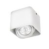 Oprawa stropowa AFZELIA PHILIPS LIGHTING POLAND