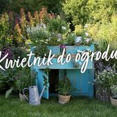 Jak zrobić kwietnik do ogrodu? Praktyczne porady