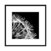 Obraz ARTBOX FOTO 41 x 41 cm