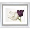 Obraz DWA TULIPANY 64 x 54 cm