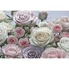 Fotografia ścienna FLORAISON 368.0 x 254 cm KOMAR
