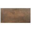 Gres szkliwiony HARLEY CUPPER 44.2 X 89 EGEN