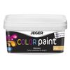Farba dekoracyjna COLOR PAINT 1 l Exwhite Lateksowa matowa JEGER