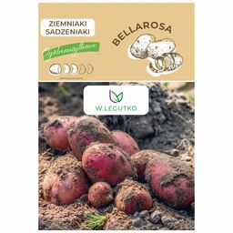 Ziemniak Bellarosa nasiona 0,5kg W. Legutko