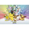 Plakat POKEMON-EEVEE 61 x 91.5 cm