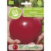 Pomidor malinowy nasiona BIO Faworyt W. LEGUTKO
