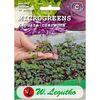 Kapusta głowiasta czerwona nasiona microgreens BIO W. LEGUTKO