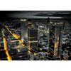 Fototapeta MIASTO Z LOTU 184 x 254 cm