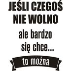 Samoprzylepne hasło welurowe JEŚLI CZEGOŚ NIE WOLNO 32 x 19 cm SPLENDID