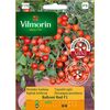 Pomidor karłowy BALCONI RED MIESZANIEC F1 VILMORIN