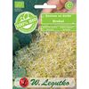 Brokuł BIO nasiona ekologiczne 10 g W. LEGUTKO