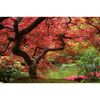 Fototapeta STAW 70.5 x 104 cm
