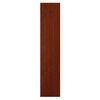 Front AGEN F15 DELINIA