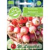 Rzodkiewka NATIONAL 2 BIO nasiona ekologiczne 5 g W. LEGUTKO