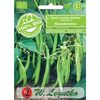 Fasola szparagowa karłowa zielona SLENDERETTE BIO nasiona ekologiczne 30 g W. LEGUTKO
