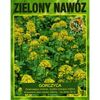 Gorczyca ZIELONY NAWÓZ nasiona tradycyjne 50 g