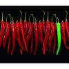Panel kuchenny szklany CHILLI 3 Z 3 DUBIEL VITRUM