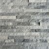 Kamień naturalny WALL CRAZY SILVER GREY KNAP