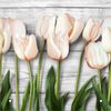 Panel dekoracyjny kuchenny TULIPS ALFA-CER