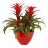 Bromelia w ozdobnej osłonce MIX 45 cm