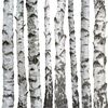 Panel kuchenny szklany SCANDI 60 x 60 cm ALFA-CER