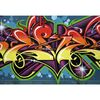 Fototapeta GRAFFITI 152 x 104 cm