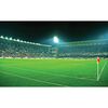 Fototapeta Stadion 208 x 146 cm