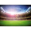 Fototapeta STADION 254 x 366 cm