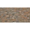 Gres szkliwiony BRAVESTONE 30 X 60 CERAMIKA PARADYŻ