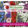 Rośliny Miododajne kolekcja nasion tradycyjnych W.LEGUTKO