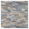 Kamień naturalny Łupek Grafit 40 x 10 cm 0.396m2 Steinblau