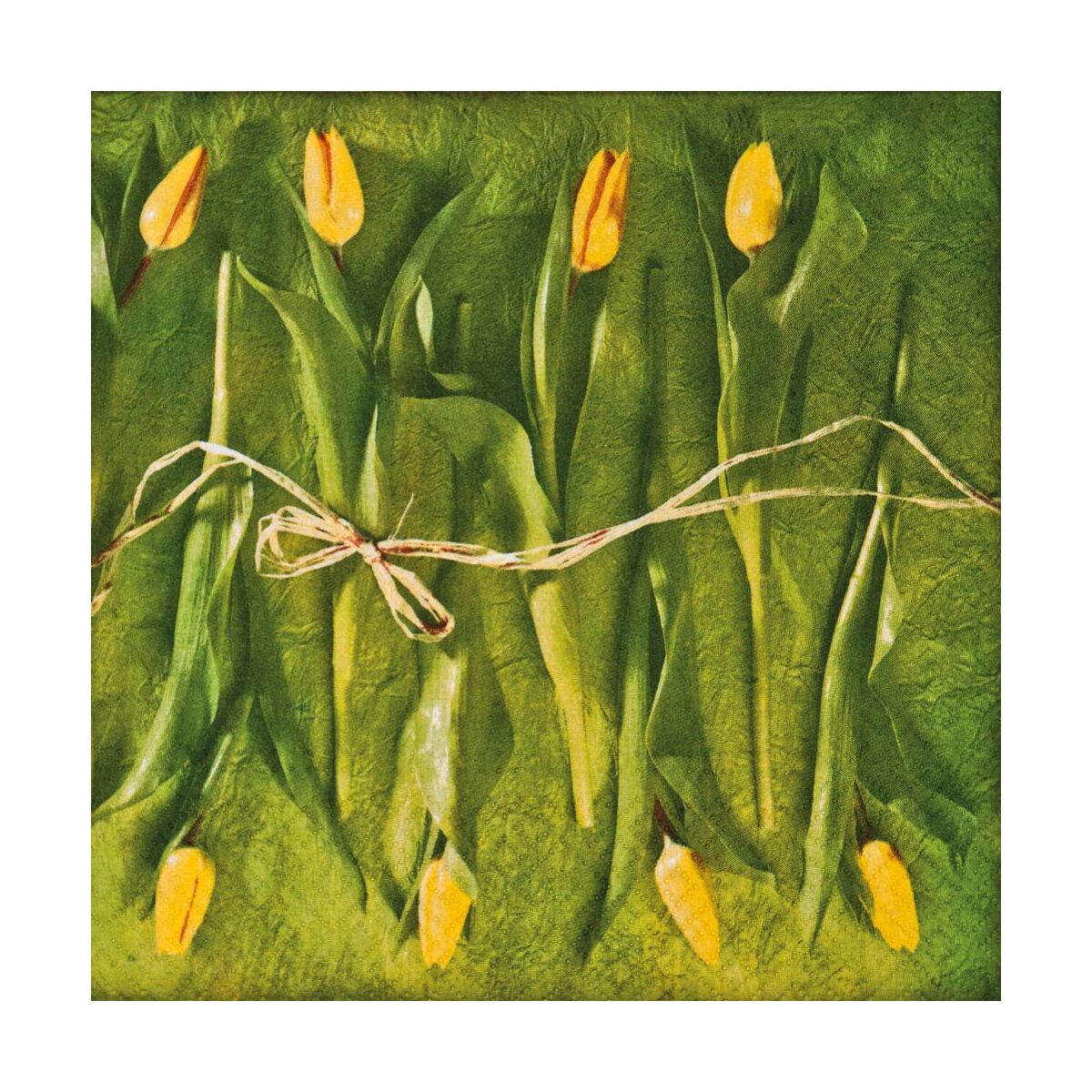 Serwetki Fresh tulips 33 x 33 cm 20 szt.