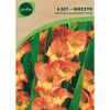 Mieczyk PRINCESS MARG. ROSE 6 szt. GEOLIA